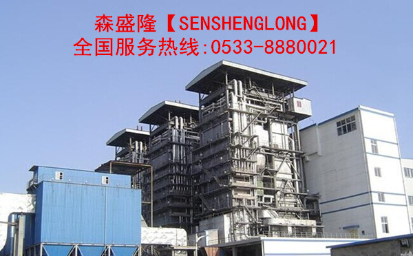 無磷鍋爐阻垢劑SG860符合環(huán)保標(biāo)準(zhǔn)